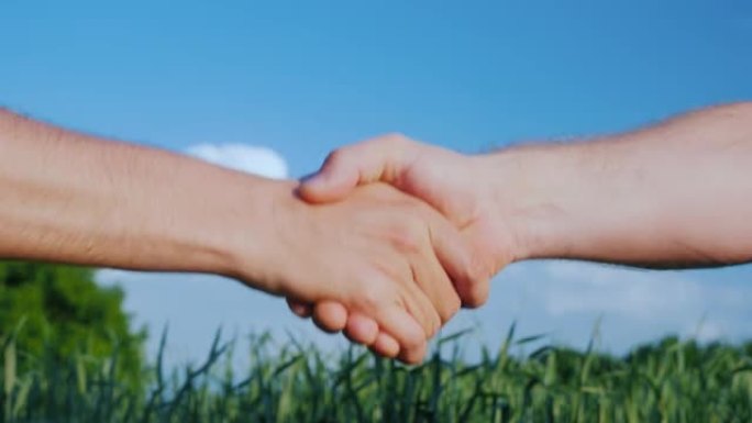 两个男性农民握手。在一片绿色的田野和蓝天的背景下。农业综合企业概念交易