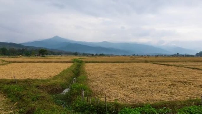 泰国南部Pua区收获季节后的稻田景观