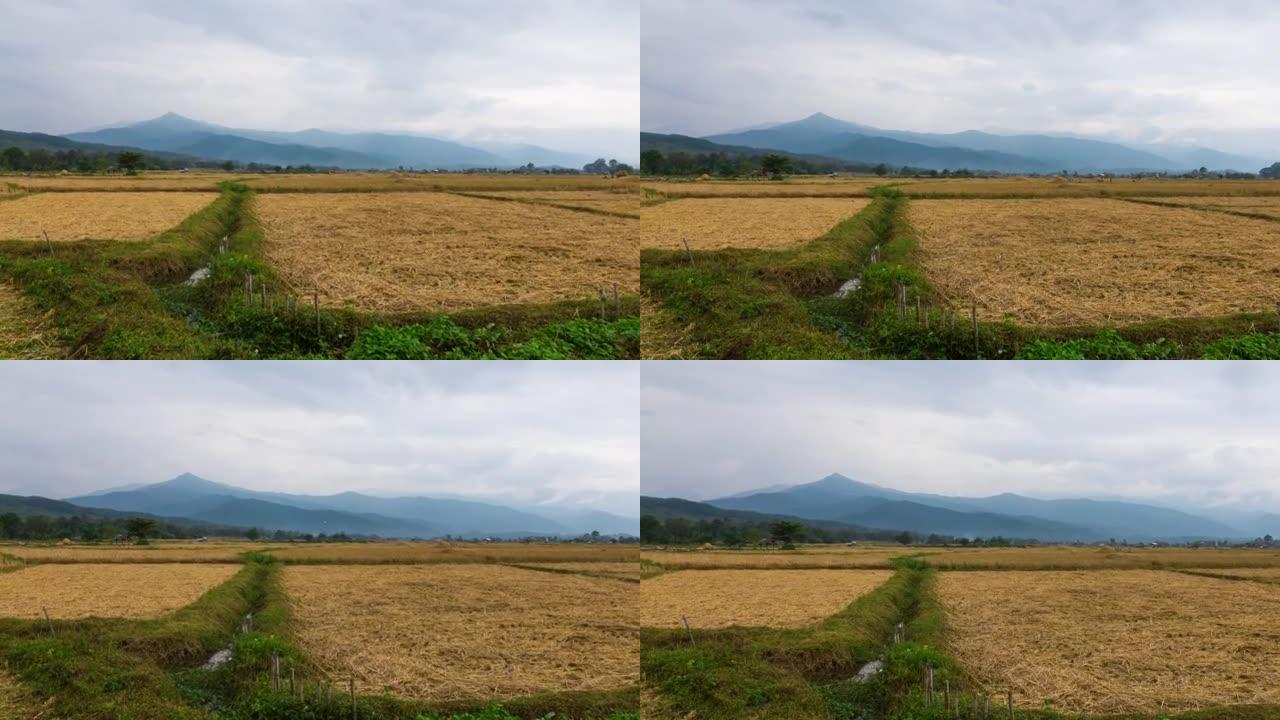 泰国南部Pua区收获季节后的稻田景观