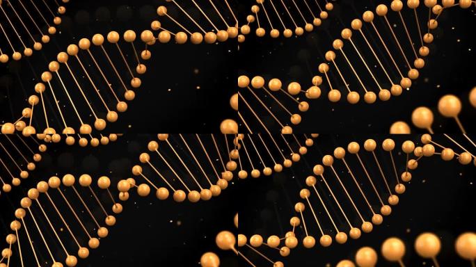 黑色背景上DNA链的光泽橙色模型