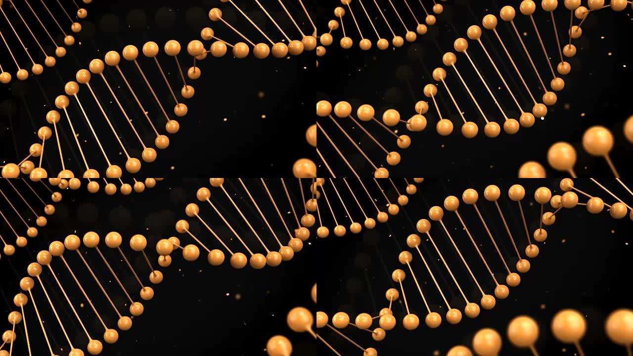 黑色背景上DNA链的光泽橙色模型