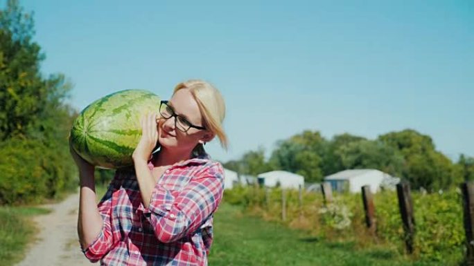 年轻的女农夫肩上扛着一个大西瓜。驻村工作，丰收