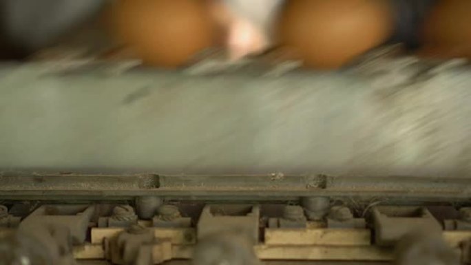 鸡蛋分选机特写镜头