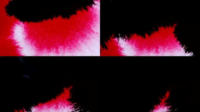 黑色和红色墨水溅到白色背景上。墨水扩展，用于与视频混合模式