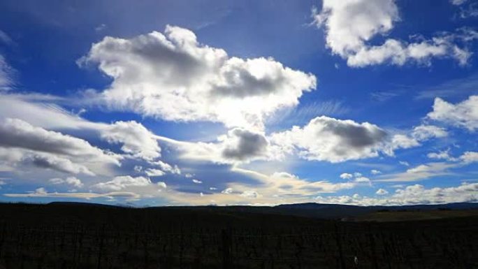 法国南部奥德 (Aude) 充满积云和灿烂阳光的葡萄园