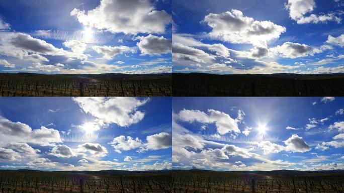 法国南部奥德 (Aude) 充满积云和灿烂阳光的葡萄园