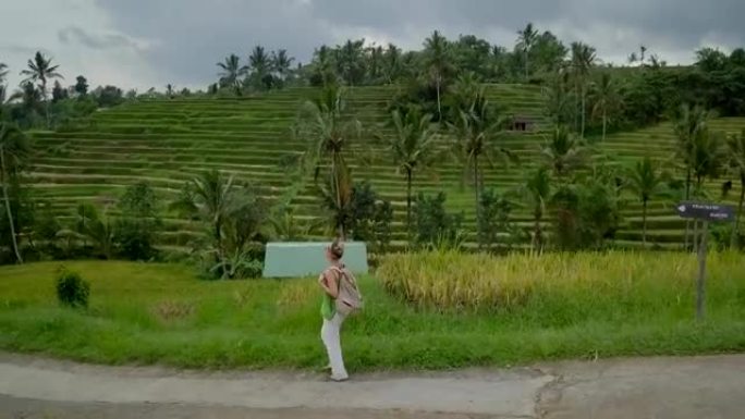 印度尼西亚巴厘岛水稻梯田游荡的年轻女子的无人机鸟瞰图。徒步旅行人群概念