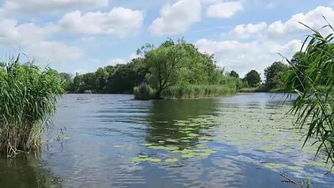 夏季哈维尔河景观。(德国哈弗兰)。