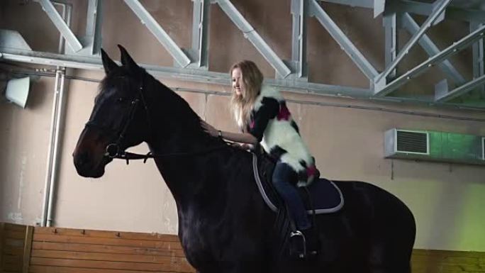 迷人的年轻女子抚摸着马。穿着便服的金发女郎和马内奇的种马