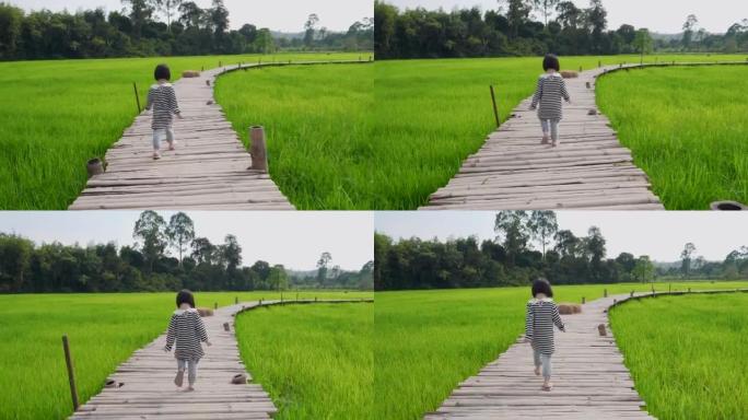 女孩的感觉享受和在稻田的木桥上行走