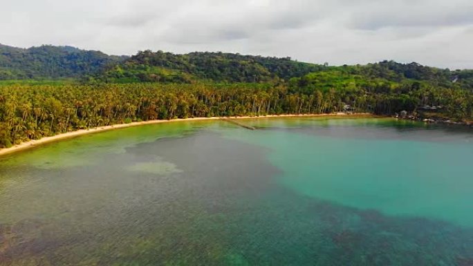鸟瞰图美丽的热带海滩和岛屿上的椰树海