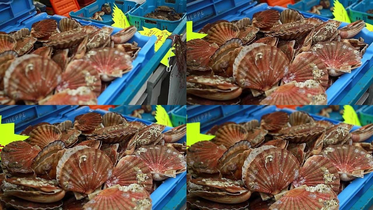 法国诺曼底鱼市的新鲜扇贝。