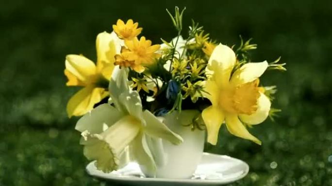 黄色的水仙和野生的春天鲜花花束在咖啡杯中，而不是花瓶在模糊的草丛背景中旋转