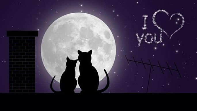 标题我爱你。屋顶和月亮上的两只猫