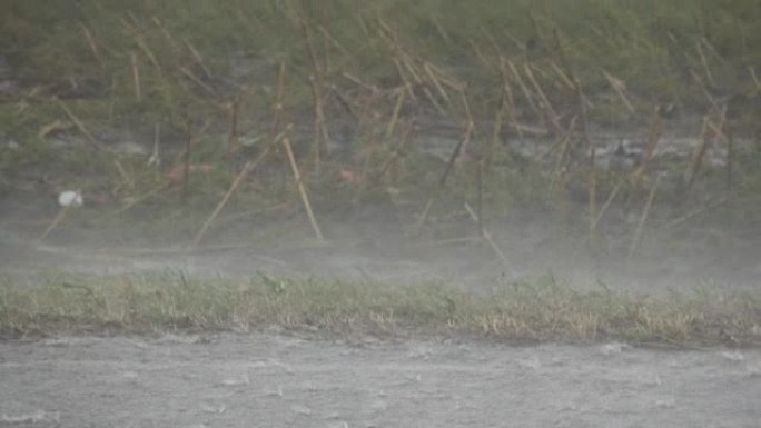 路上大雨