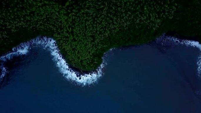 茂宜岛的茂密森林流向埃格德