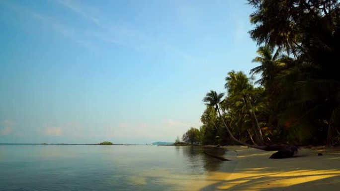 美丽的热带海滩和椰树海