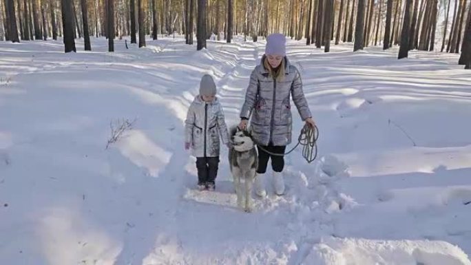 美丽的女人和小孩与哈士奇狗一起在冬季森林中行走。快乐的年轻母亲和女儿在冬季公园和哈士奇狗。雪林中的西