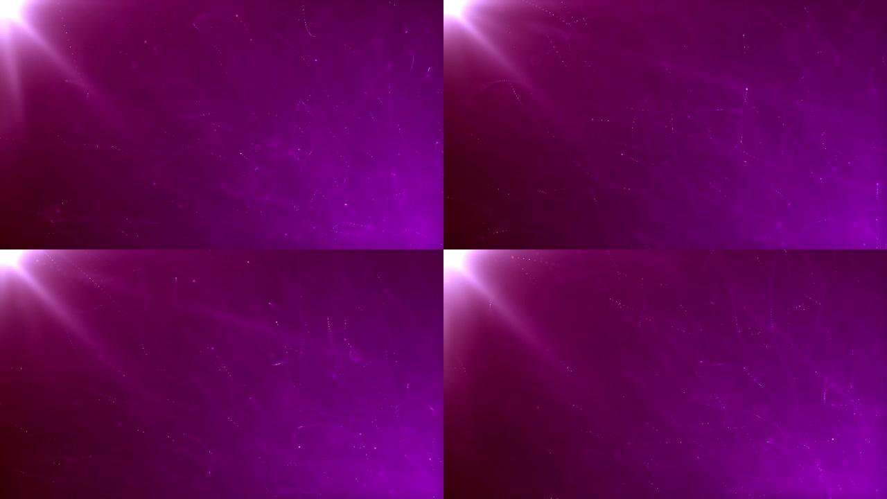 带有微小粒子的深紫色光-动画运动背景循环