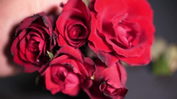 红玫瑰，情人节