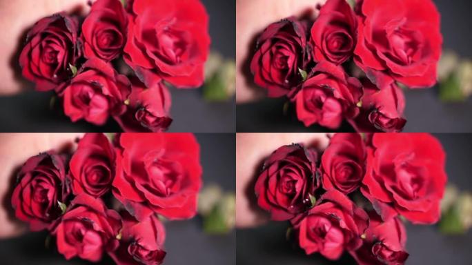 红玫瑰，情人节