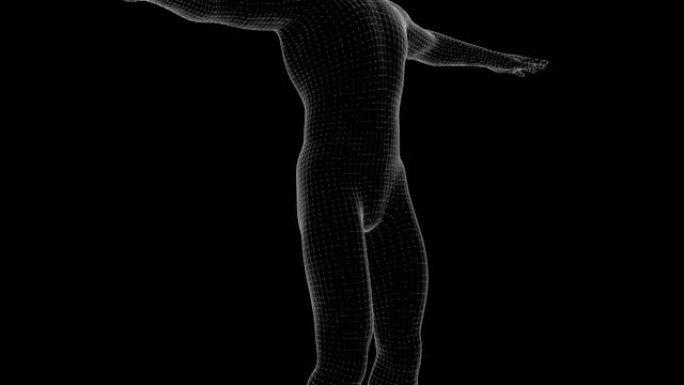 人x射线全息图的3d动画