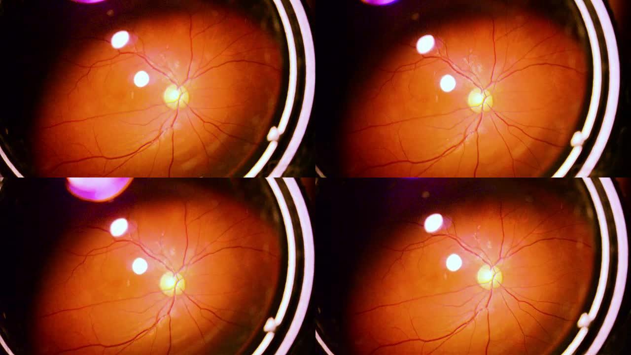 人眼虹膜收缩瞳孔特写视频素材