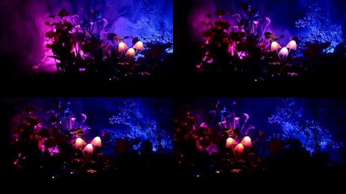 神秘黑暗森林中的三个幻想发光蘑菇特写。美丽的魔菌或三个灵魂迷失在阿凡达森林的微距镜头。雾背景上的仙女