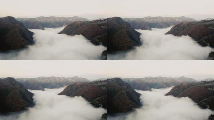 日出之前，在日本山区的云层之上