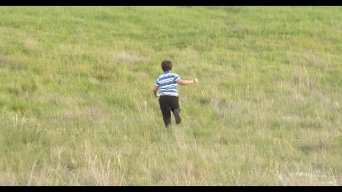 男孩用绿草穿过田野