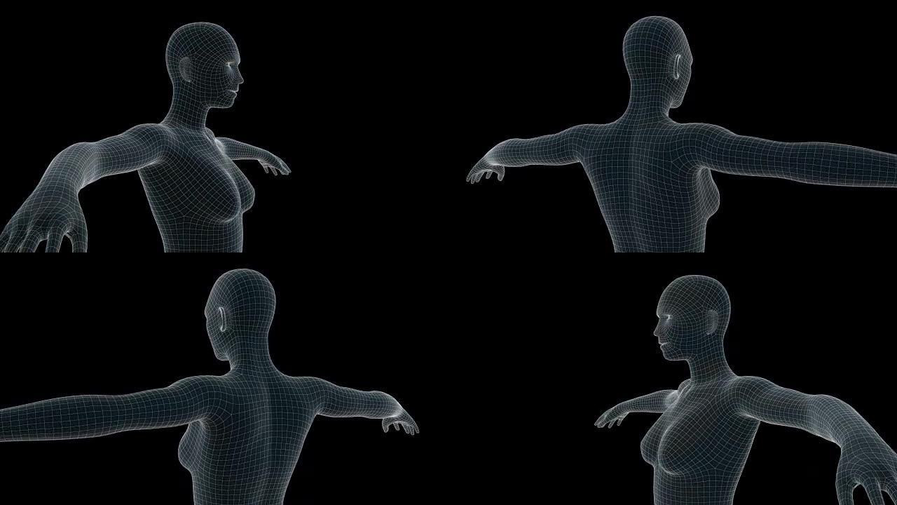 女性x射线全息图的3d动画