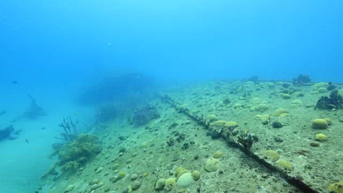 库拉索/荷属安的列斯群岛附近的水肺潜水沉船