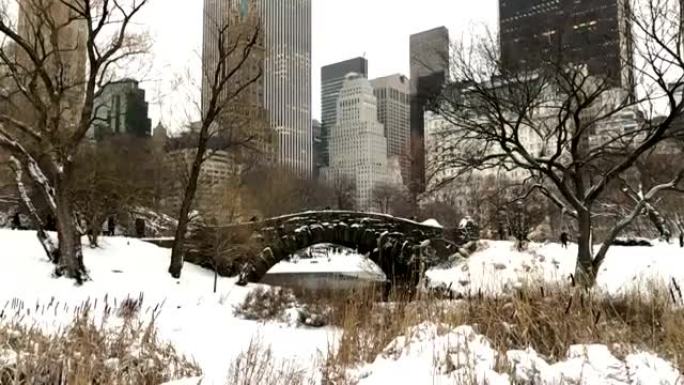 Slow Motion - Snowy Central Park