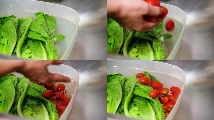 通过淡水洗涤蔬菜 (cos和番茄) 的慢动作