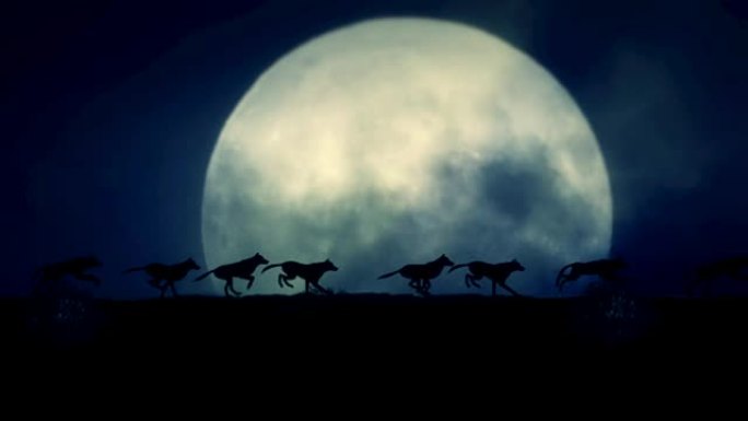 小包狼在一个上升的满月之夜奔跑
