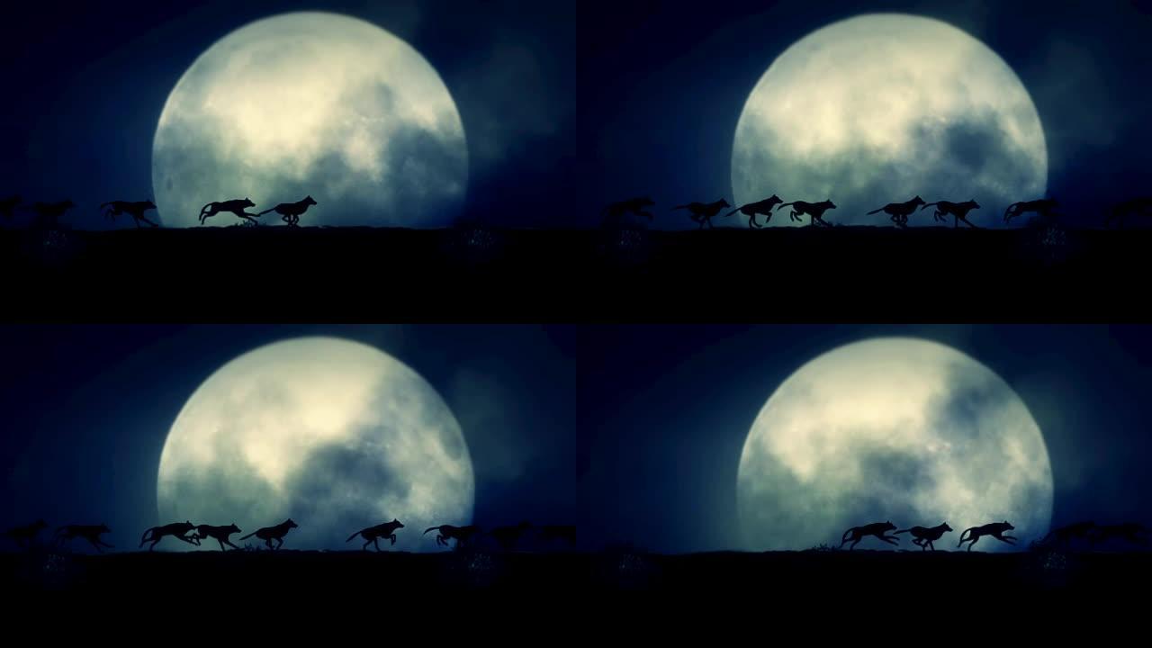 小包狼在一个上升的满月之夜奔跑