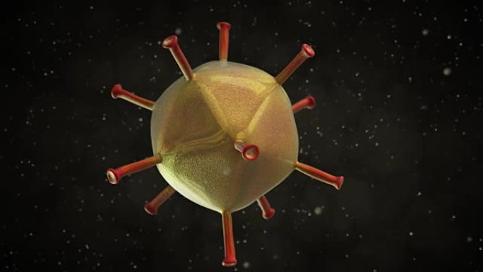 腺病毒病毒的3D动画