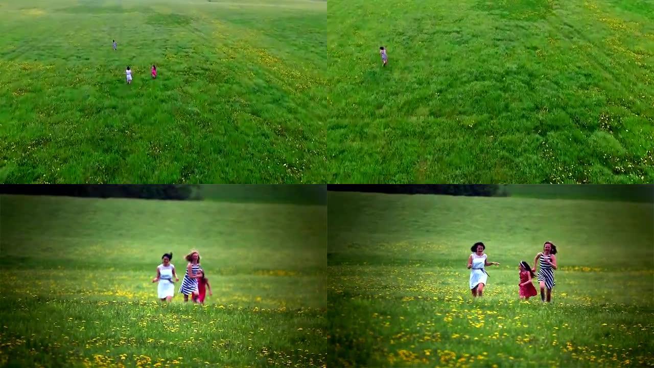 用无人机和长焦镜头录制的在草地上奔跑的端庄镜头。