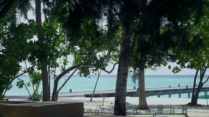 热带沙滩，有棕榈树和码头。