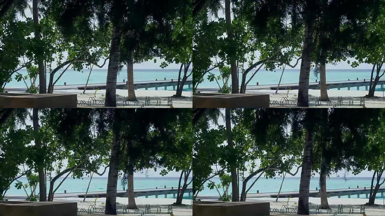 热带沙滩，有棕榈树和码头。
