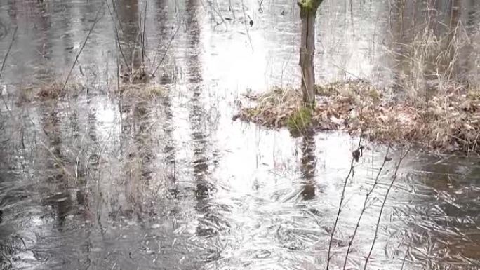 春天的木头被水淹没，并在冰下冻结