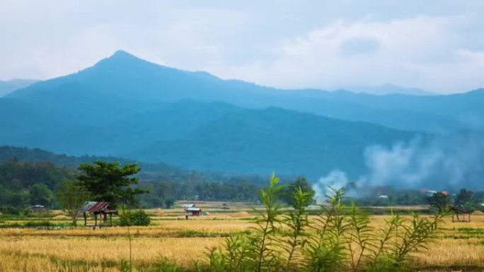 泰国南部Pua区收获季节后的稻田景观