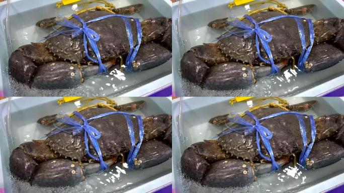 螃蟹用草绳绑在一个塑料桶里。空气蟹的氧气管线准备在市场上出售。为了新鲜