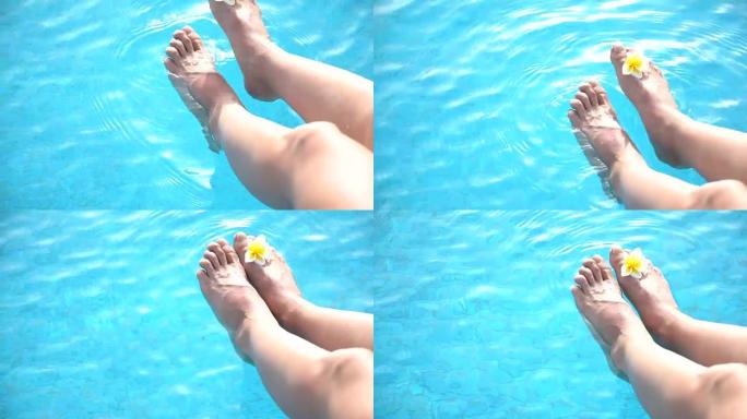 女脚有鸡蛋花在游泳池蓝水