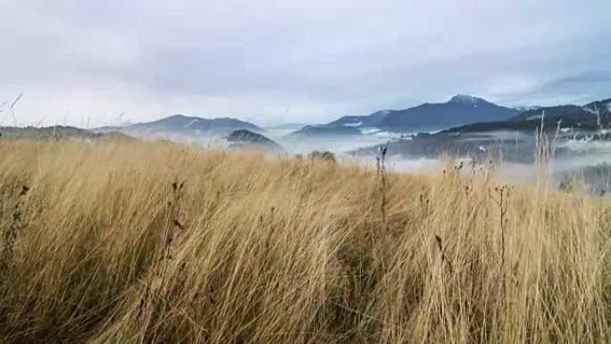 多莉在多云的天气下在干燥的草地上拍摄，初冬有雾的景观时间流逝