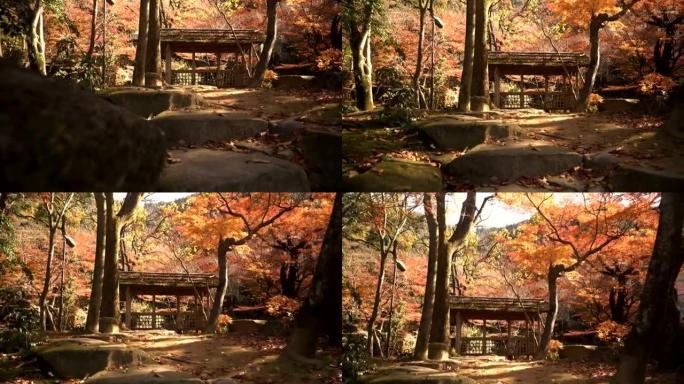 揭示平移: 岐阜公园日本花园中的木制凉亭