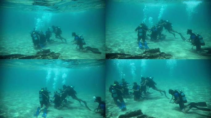 一群在水下学习水肺潜水课程的潜水员