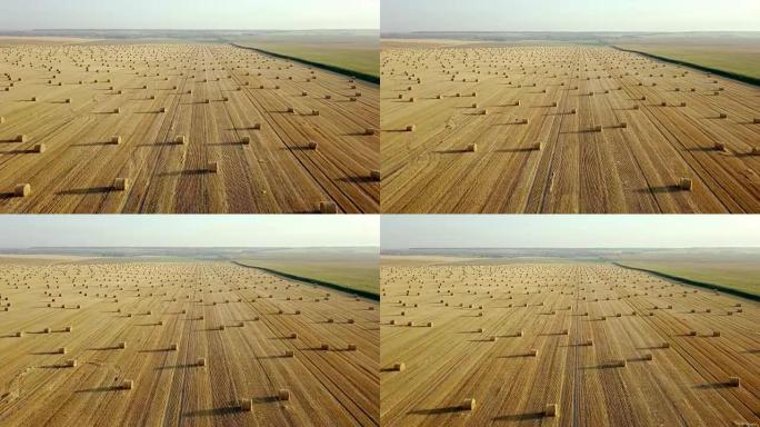 飞过一捆捆干草的金色田野。惊人的直平收割和农田的金色稻草和黄色小麦准备的耕作堆栈。飞越收获的田地。