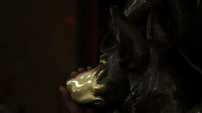 幸运的著名地铁狗青铜雕塑，新年快乐的狗亚洲占星日历，祝你好运用手擦青铜狗鼻子。很多人路过擦狗的鼻子以