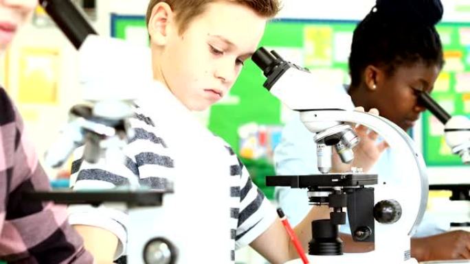 科学课上使用显微镜的学生群体